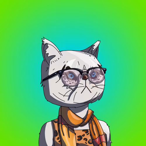 Topcatbeachclub