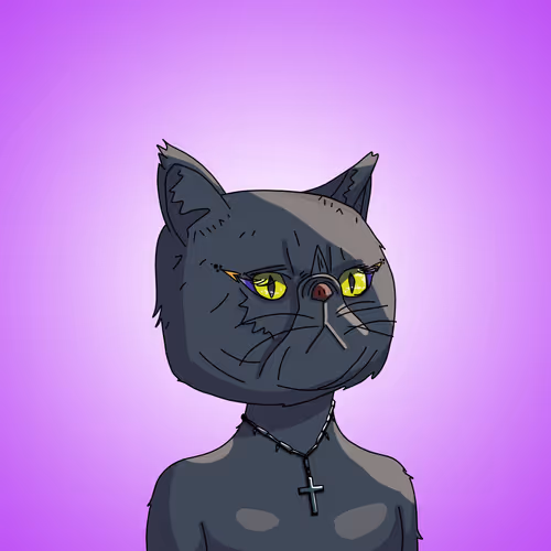 Topcatbeachclub