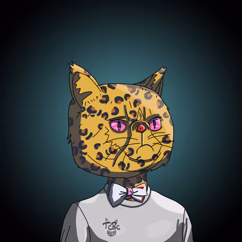 Topcatbeachclub