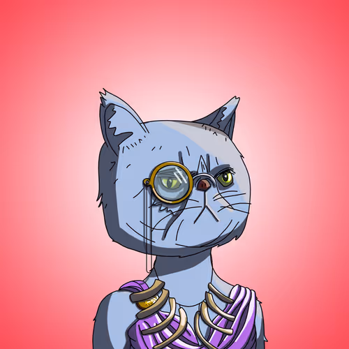 Topcatbeachclub
