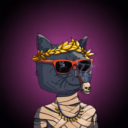 Top Cat #907
