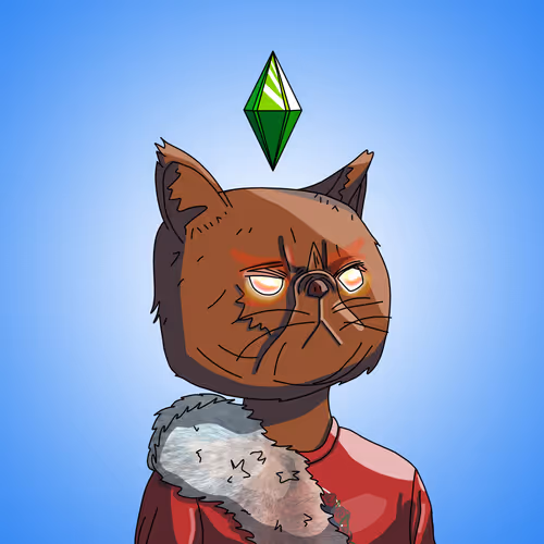 Topcatbeachclub
