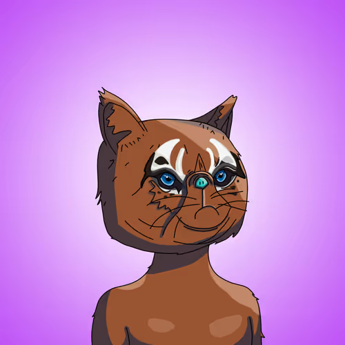 Topcatbeachclub