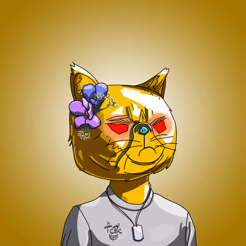 Topcatbeachclub