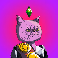Top Cat #6283