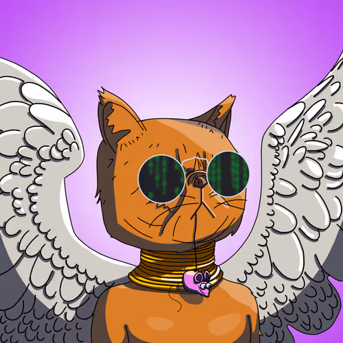 Topcatbeachclub