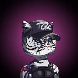 Top Cat #4579