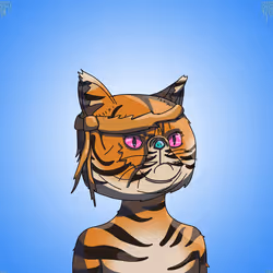 Top Cat #998