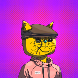 Top Cat #4699