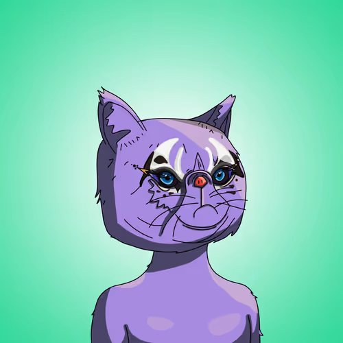 Topcatbeachclub