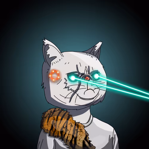 Topcatbeachclub