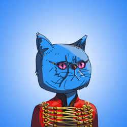 Top Cat #5521