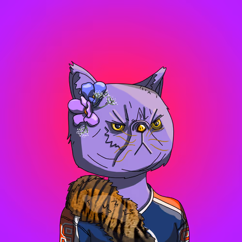 Top Cat #4851