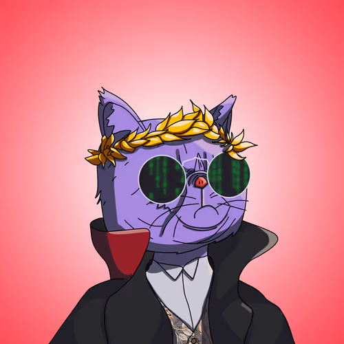 Topcatbeachclub