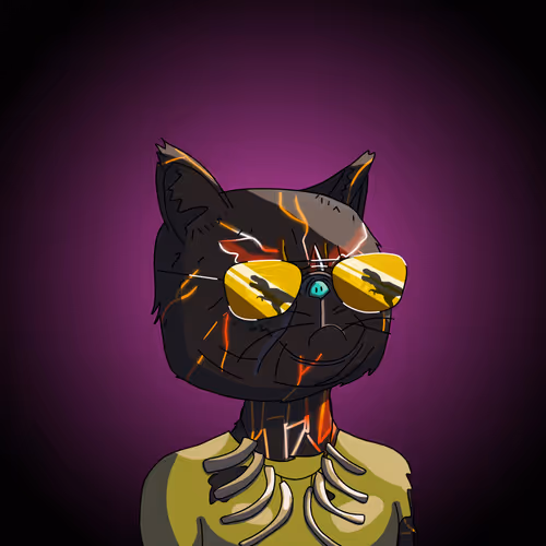 Topcatbeachclub