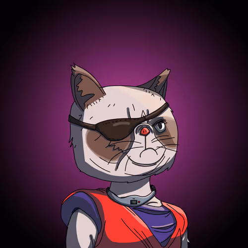 Topcatbeachclub