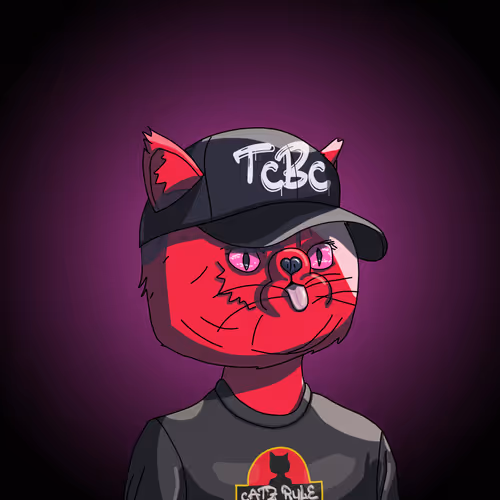Topcatbeachclub
