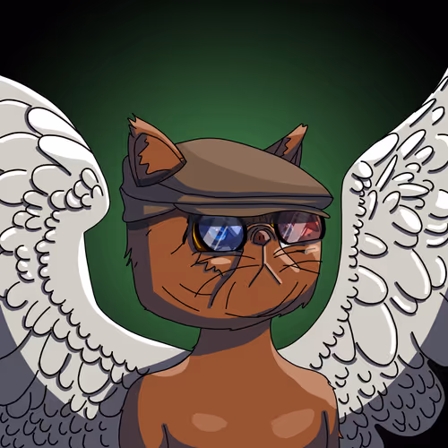 Topcatbeachclub