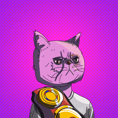 Topcatbeachclub