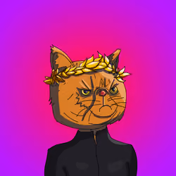 Top Cat #764