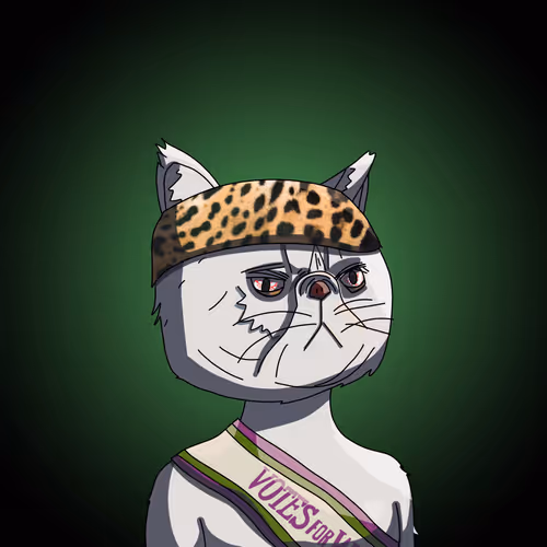 Topcatbeachclub
