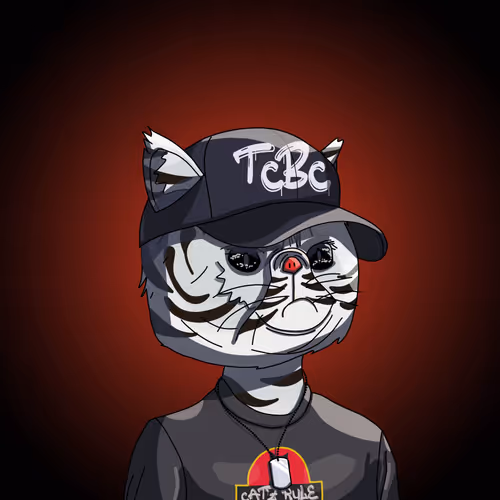 Top Cat #847