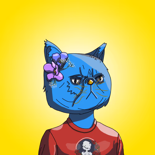 Topcatbeachclub
