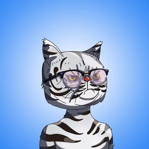 Topcatbeachclub
