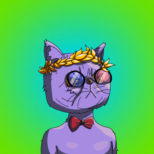 Topcatbeachclub