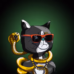 Top Cat #1414