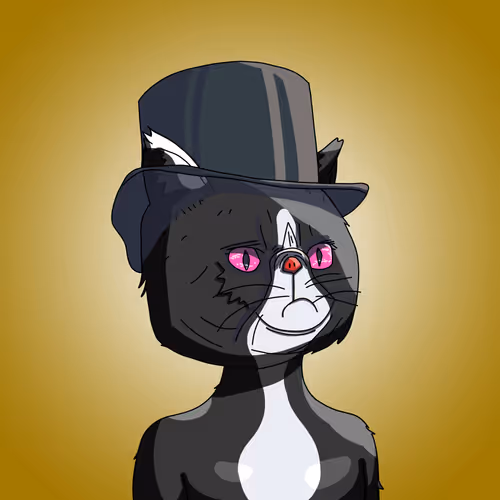 Topcatbeachclub