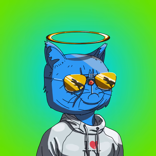 Top Cat #1307