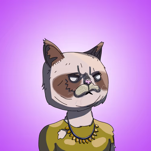 Topcatbeachclub