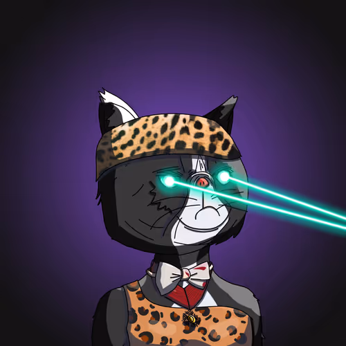 Topcatbeachclub