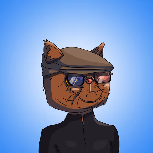 Topcatbeachclub