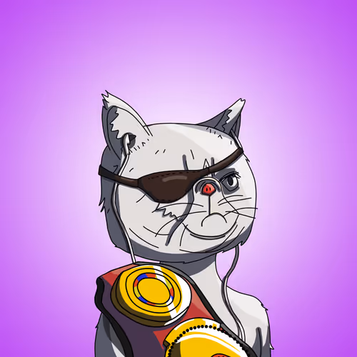 Topcatbeachclub