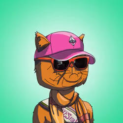 Top Cat #6245