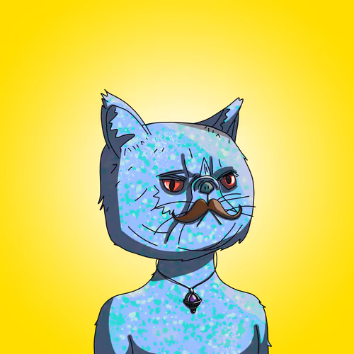 Topcatbeachclub