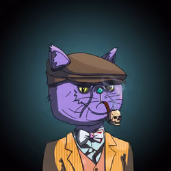 Top Cat #6474