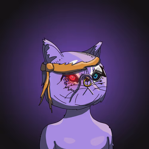 Topcatbeachclub
