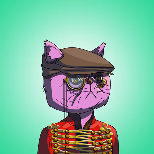 Topcatbeachclub