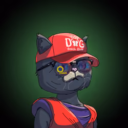 Top Cat #6215