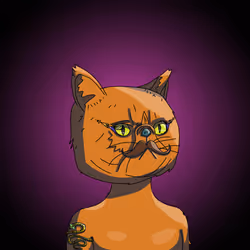 Top Cat #7677
