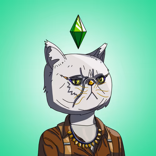 Topcatbeachclub