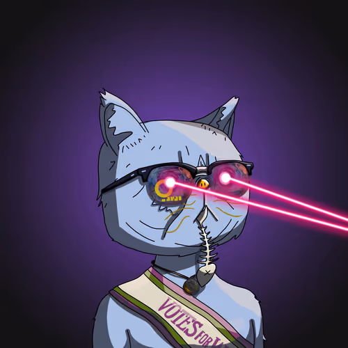 Topcatbeachclub