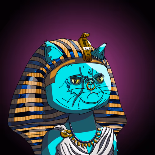Topcatbeachclub