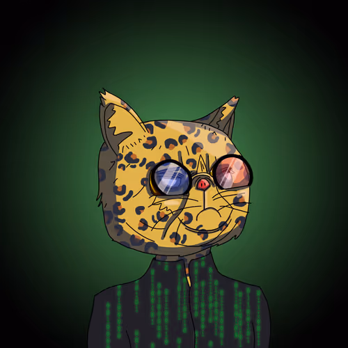 Topcatbeachclub