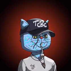 Top Cat #3638