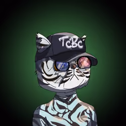 Top Cat #802