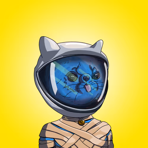 Topcatbeachclub
